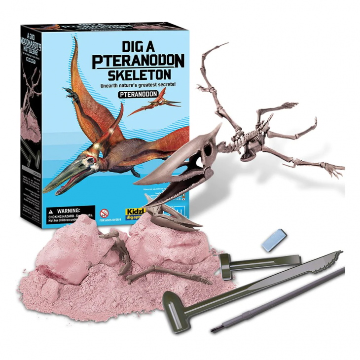 Set educativ Sapa si descopera Dinozauri - Pteranodon