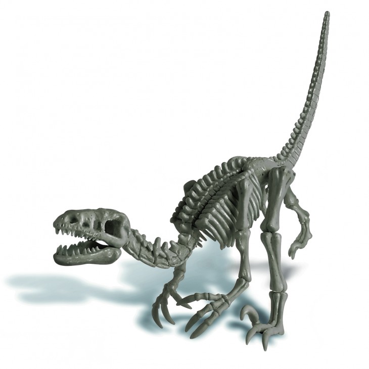 Set educativ Sapa si descopera Dinozauri - Velociraptor