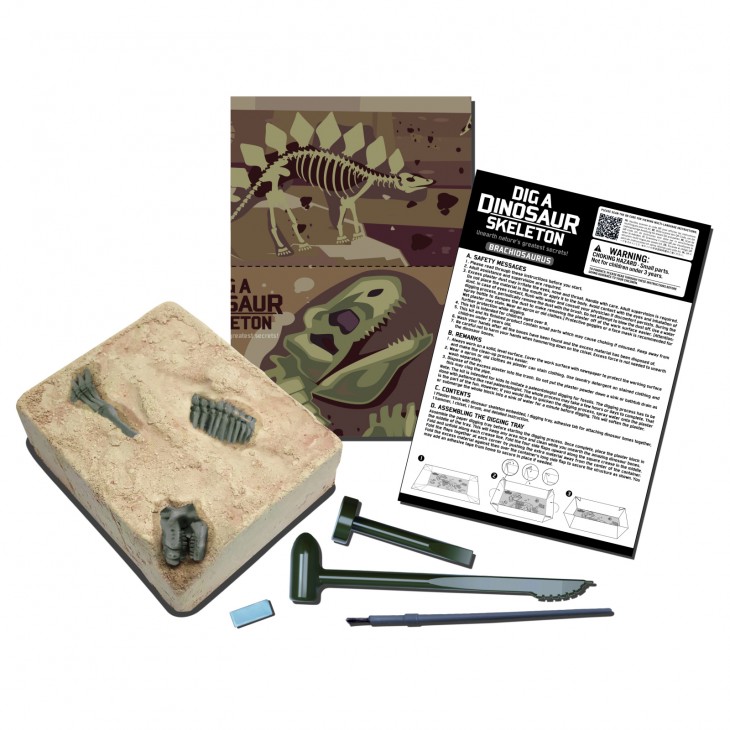 Set educativ Sapa si descopera Dinozauri - Brachiosaurus