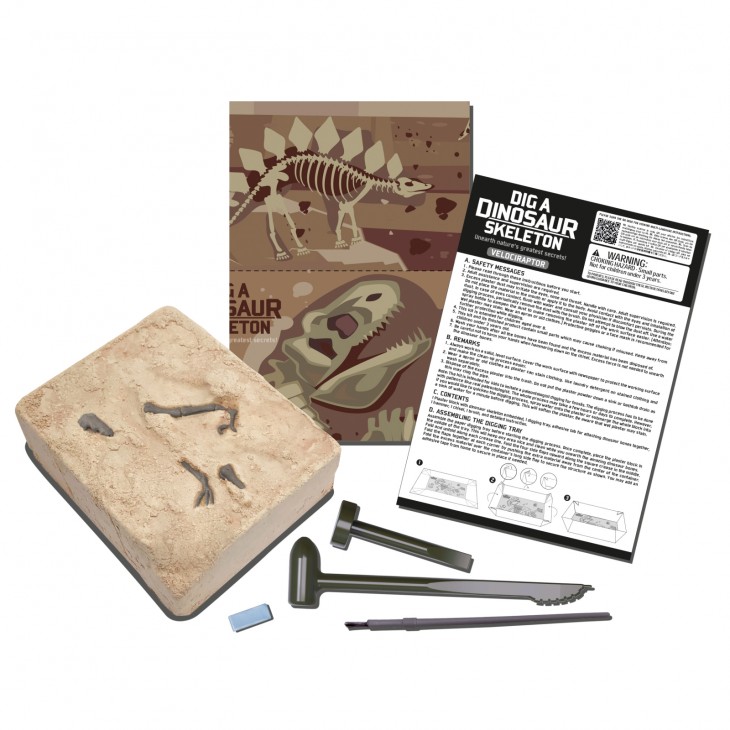 Set educativ Sapa si descopera Dinozauri - Velociraptor