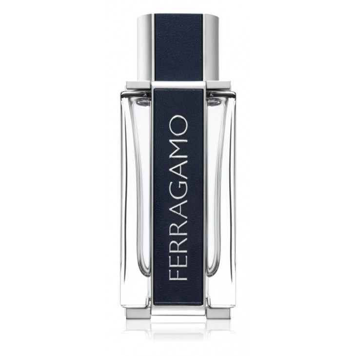 Salvatore Ferragamo Ferragamo EDT 100 ml