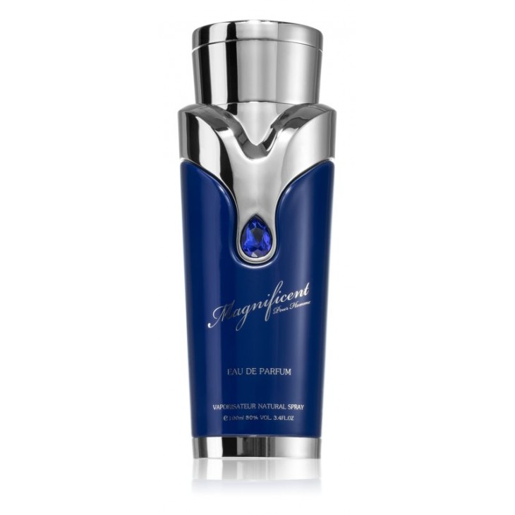 Armaf Magnificent Blue Pour Homme EDP 100 ml