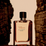 hermes-terre-dhermes-eau-de-parfum-intense-refillable-masculin-100ml-parfum-301897-2.png
