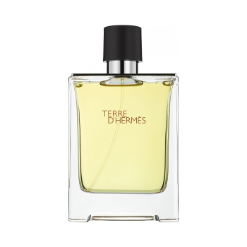 Hermes Terre D'Hermes Eau de Toilette Masculin 200ml